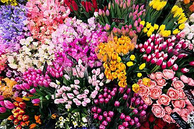 横板动作冒险游戏《球棒男孩》发起众筹