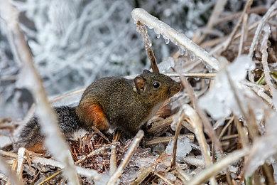《罗布乐思》高管：平台创作者并未被剥削而是获福利