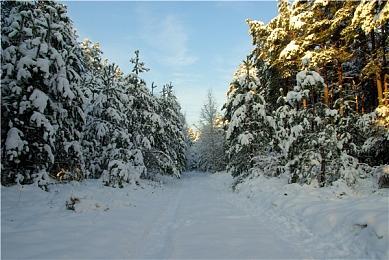 新里程碑！索尼PS5全球销量突破8000万台